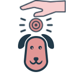 Sesiones para animales